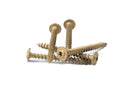 CTX #14 x 2.5" Wood Screw - use with Single Ply Baseplates-2